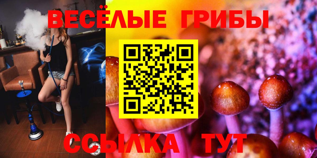 Галлюциногенные грибы мицелий Знаменск
