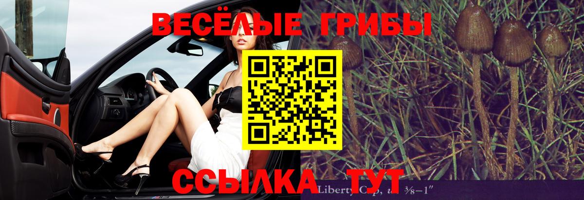 Знаменск  Псилоцибиновые грибы GOLDEN TEACHER  Вход с VPN  наркотики  Псилоцибиновые грибы Psilocybine cubensis 